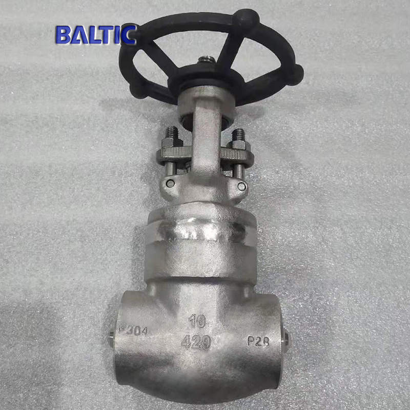 DN10 PN420 Gate Valve, ASTM A182 F304, API 602, BW