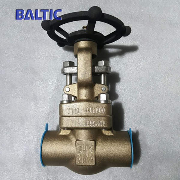 DN25 PN16 Gate Valve, ASTM B148 C95800, API 602, NPT