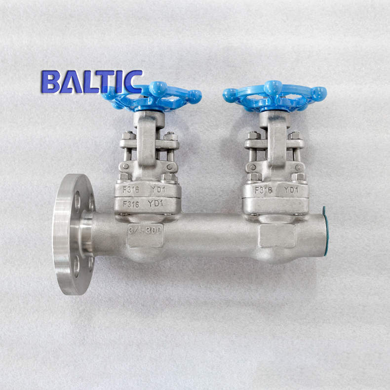 Forged Double Gate Valve, ASTM A182 F316, 3/4 Inch, 300 LB, RF, BW