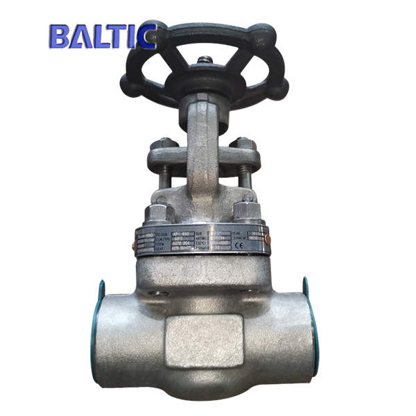 Full Bore Forged Gate Valve, F304, 1/2 Inch Class 800, NPT, API 602