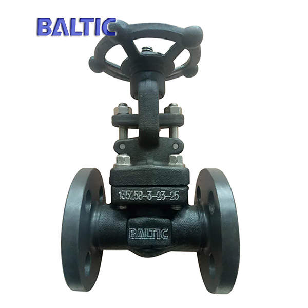 Integral Flanged Forged Gate Valve, ASTM A105N, 1/2 Inch, 150 LB