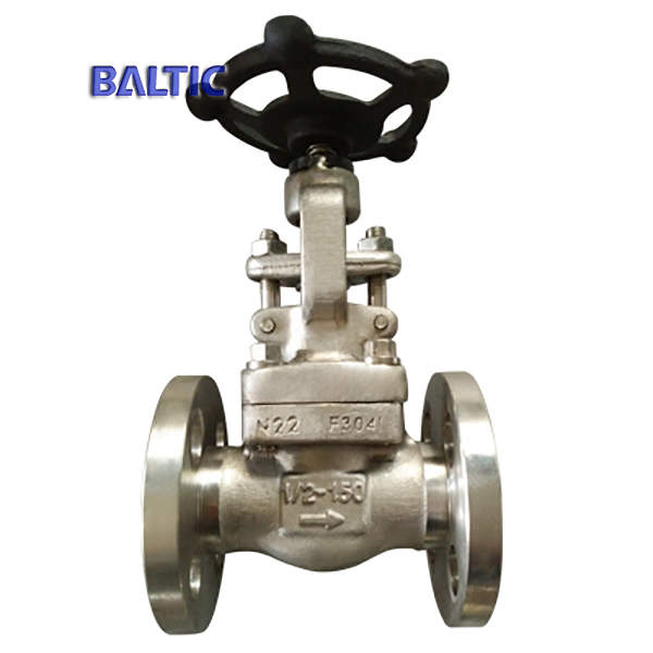 Integral Flanged Gate Valve, ASTM A182 F304, API 602, DN15, PN20