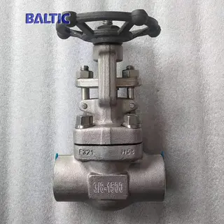 ASTM A182 F321 Gate Valve, API 602, 3/8 Inch, 1500 LB, SW