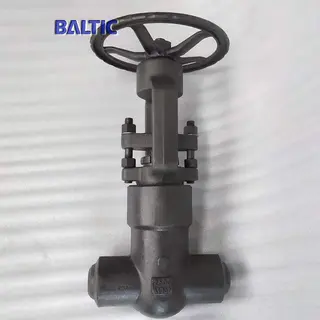 PSB Gate Valve, ASTM A105N, 2IN, CL2500, API 602, BW