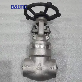 DN10 PN420 Gate Valve, ASTM A182 F304, API 602, BW