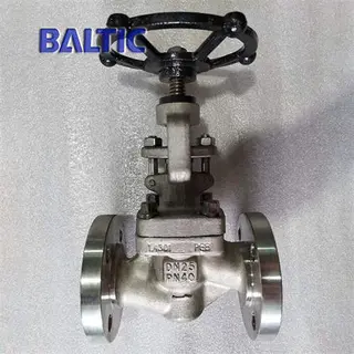DIN 3356 S-Type Globe Valve, Full Bore, 1.4301, DN25, PN40