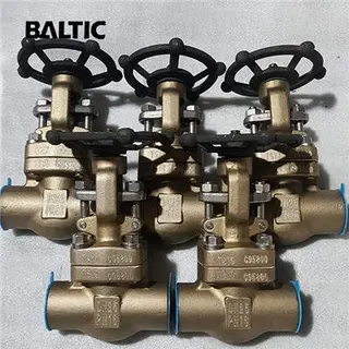 ASTM B148 C95800 Gate Valve, DN25, PN16, API 602, SW X NPT