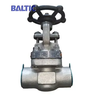 Full Bore Forged Gate Valve, F304, 1/2 Inch Class 800, NPT, API 602