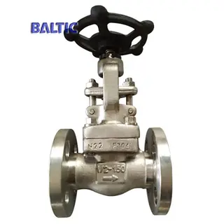 Integral Flanged Gate Valve, ASTM A182 F304, API 602, DN15, PN20
