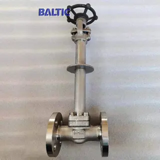 3/4 Inch CL300 Cryogenic Gate Valve, A182 F316, API 602