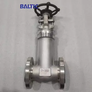 Bellow Sealed Gate Valve, ASTM A182 F316, 1 Inch, 150 LB