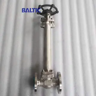 ASTM A182 F316 Cryogenic Gate Valve, 1/2 Inch, 150 LB, RF