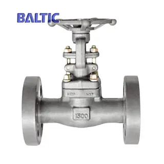 ASTM A105N Gate Valve with Integral Flange, 1 Inch, 1500 LB