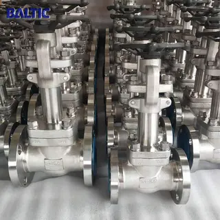 2 Inch Cryogenic Gate Valve, ASTM A182 F304, 150 LB, RF