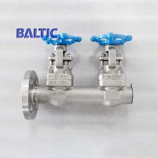 Forged Double Gate Valve, ASTM A182 F316, 3/4 Inch, 300 LB, RF, BW