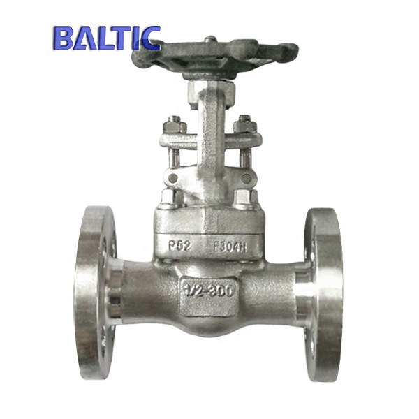 Special Material Gate Valve, A182 F304H, API 602, 1/2 Inch, 300 LB