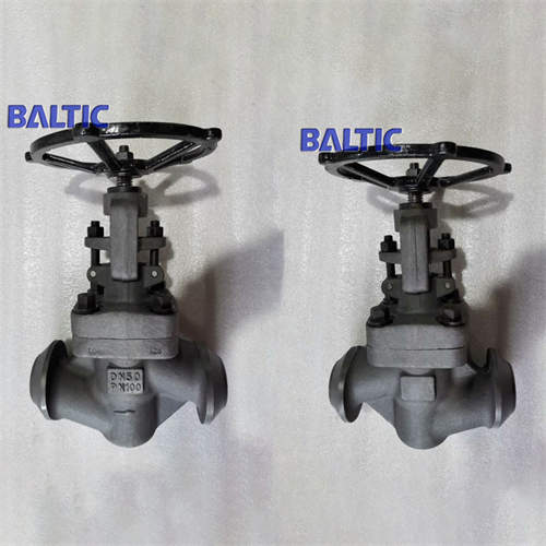 1.0460 S-Type Globe Valve, DN50, PN100, DIN 3356, BW