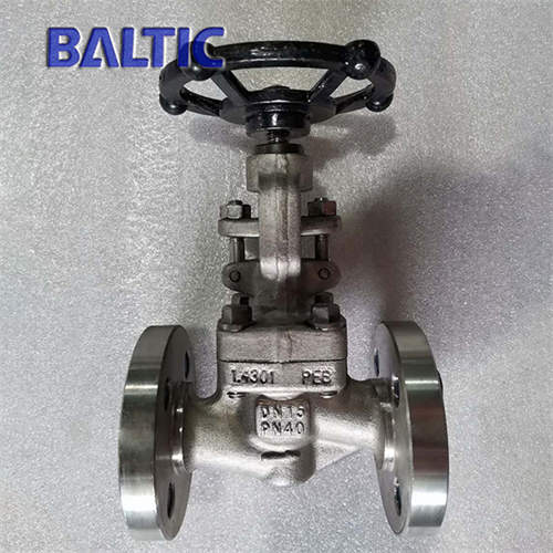 1.4301 S Globe Valve, DN15, PN40, DIN 3356, RF Flange