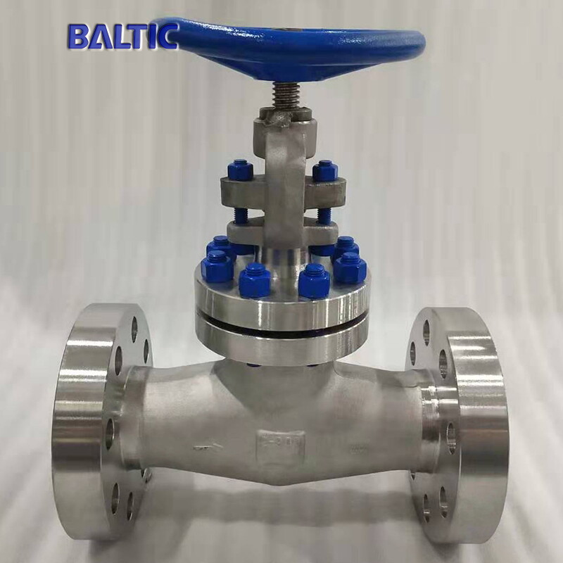 2 Inch Globe Valve, API 602, ASTM A182 F316, 900 LB, RF