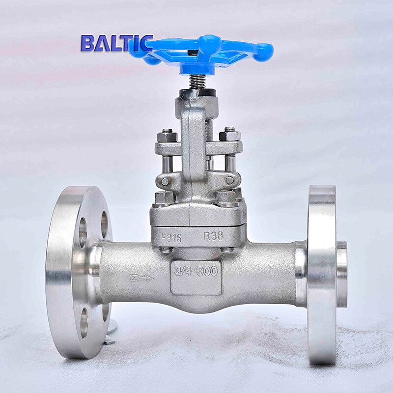 3/4 Inch Globe Valve, 600 LB, API 602, ASTM A182 F316, RF