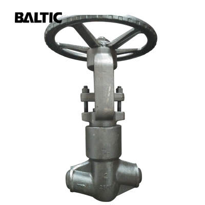 A350 LF2 Globe Valve, API 602, ASME B16.34, 2 Inch, 2500 LB, BW