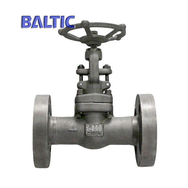 API 602 Forged Steel Globe Valve, ASTM A105N, 1 Inch, 900 LB, RF