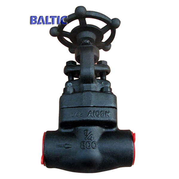 API 602 Full Bore Globe Valve, 3/4 Inch, 800 LB, NPT X SW