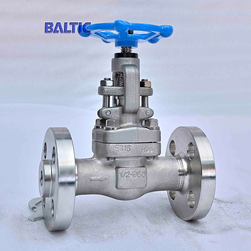 API 602 Globe Valve, 1/2 Inch, 600 LB, ASTM A182 F316, RF