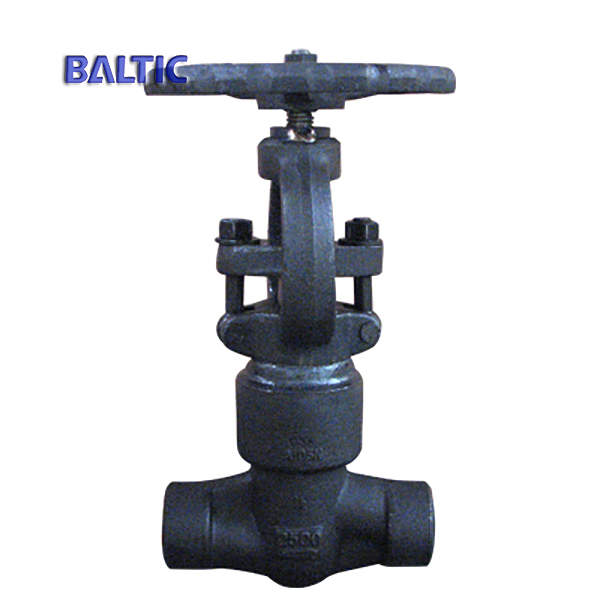 API 602 Reduce Bore Globe Valve, A105N, DN15, PN420, BW Ends