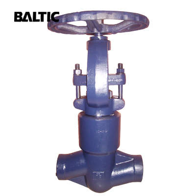 ASTM A105 Globe Valve, API 602, ASME B16.34, DN50, PN420, SW
