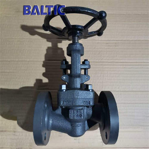 ASTM A105N Full Bore Globe Valve, DN25, PN40, RF Flanged Ends