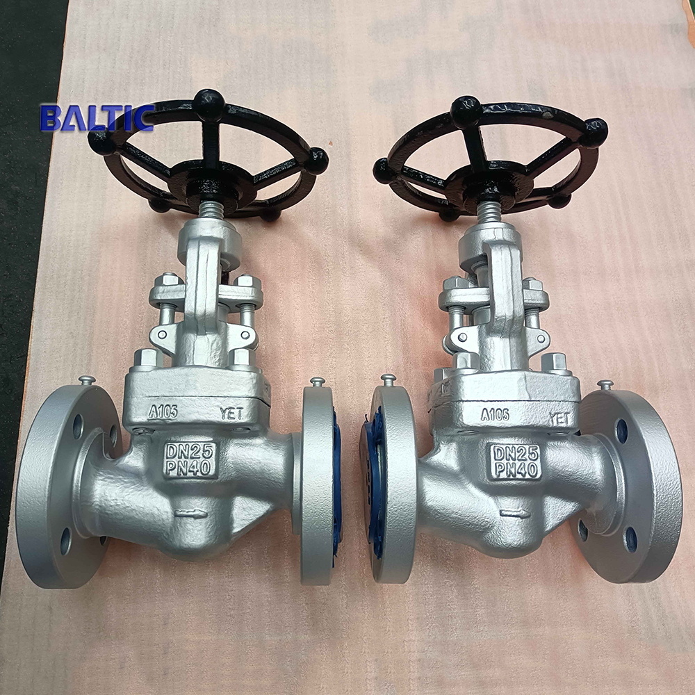 ASTM A105N Full Bore Globe Valve, DN25, PN40, RF Flanged Ends
