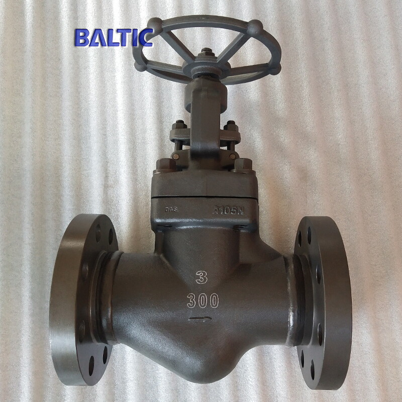 ASTM A105N Globe Valve, 3 Inch, 300 LB, API 602, RF