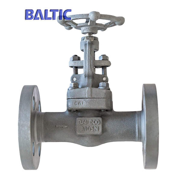 ASTM A105N Integral Flanged Globe Valve, 3/4 Inch, 600 LB, RF
