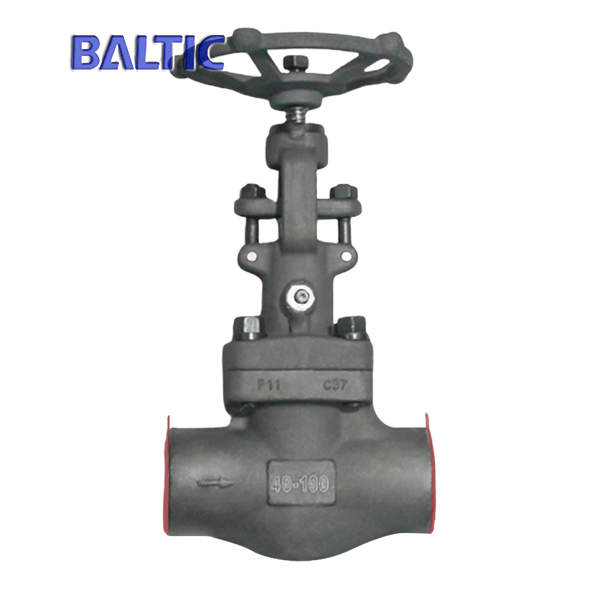 ASTM A182 F11 Forged Globe Valve, DN40, PN100, BW, DIN, API 602