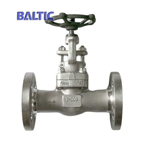 ASTM A182 F304H Forged Globe Valve, 1 Inch, 300 LB, RF, API 602