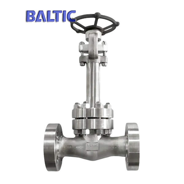 ASTM A182 F316 Forged Globe Valve, 1 Inch, CL2500, Extension Stem