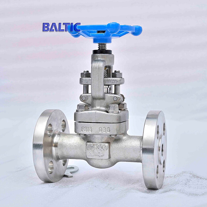 ASTM A182 F316 Globe Valve, 1/2 Inch, 300 LB, RF, API 602