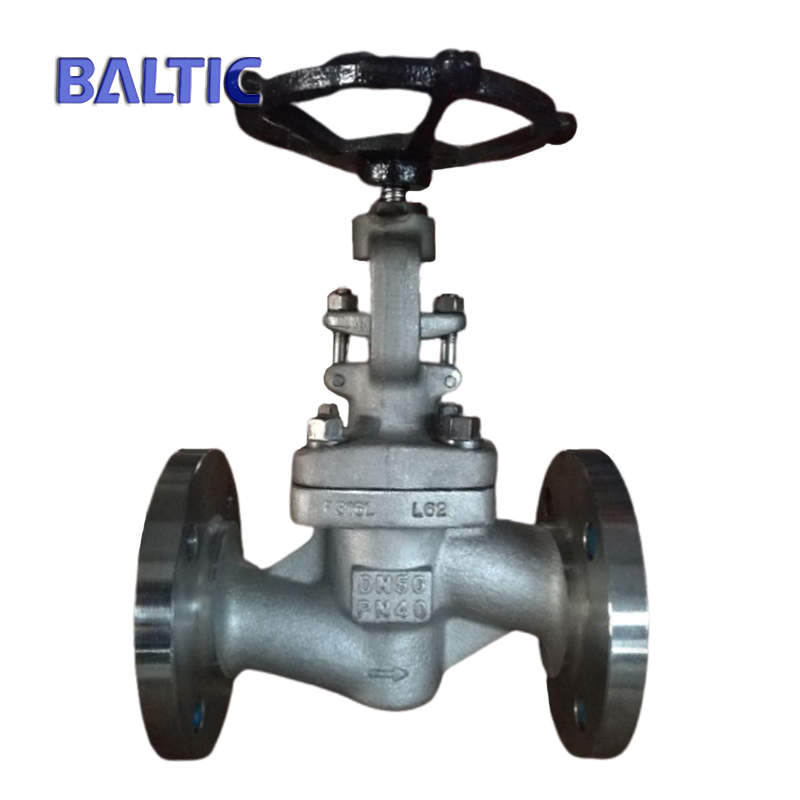 ASTM A182 F316L S Type Globe Valve, DN50, PN40, RF Flange