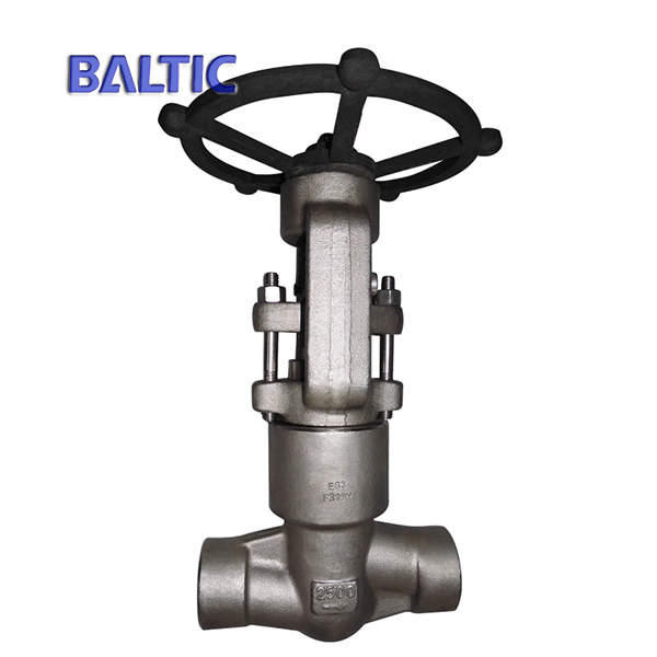 ASTM A182 F321H Forged Globe Valve, 1 Inch, 2500 LB, BW, API 602