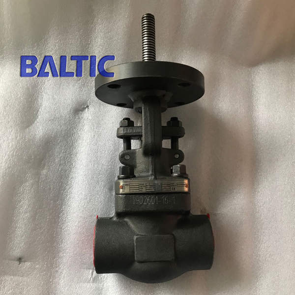 Bare Stem Forged Globe Valve, ASTM A105N, 1 Inch, Class 800, SW