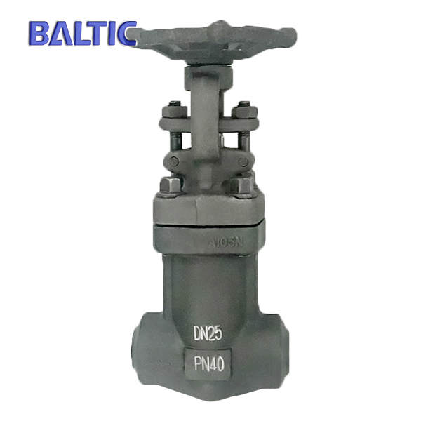 Bellows Seal Globe Valve, ASTM A105N, DN25, PN40, BW Ends, API 602