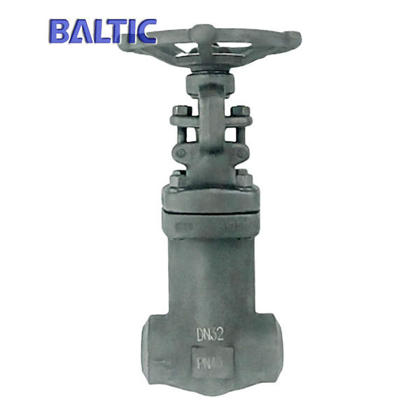 Butt Weld Bellows Seal Globe Valve, ASTM A105N, DN32, PN40, API 602