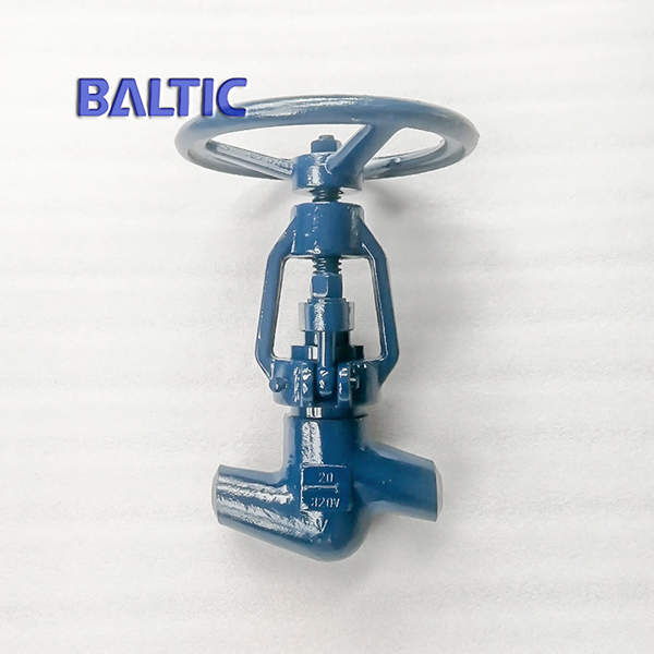 BW Forged Steel Globe Valve, ASTM A350 LF2, DN20, PN320, DIN STD
