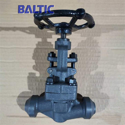 DIN 3356 Full Bore Globe Valve, S Type,1.0460, DN15, PN16, BW