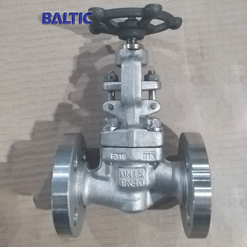 DN15 Globe Valve, ASTM A182 F316, PN40, ISO 15761, RF