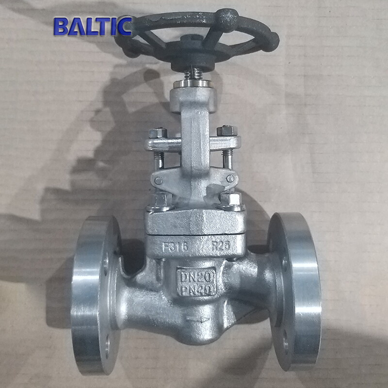 DN20 Globe Valve, PN40, ISO 15761, ASTM A182 F316, RF