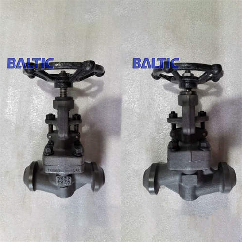DN25 PN40 Globe Valve, 1.0460, Full Bore, DIN 3356, BW