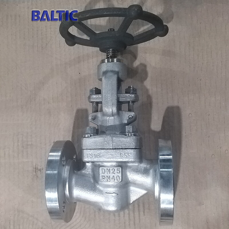 DN25 PN40 Globe Valve, ASTM A182 F316, ISO 15761, RF