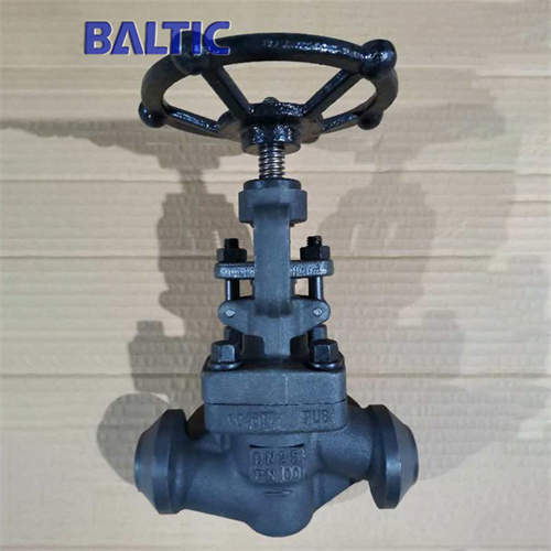 DN25 S-Type Globe Valve, 1.0460, PN100, DIN 3356, BW